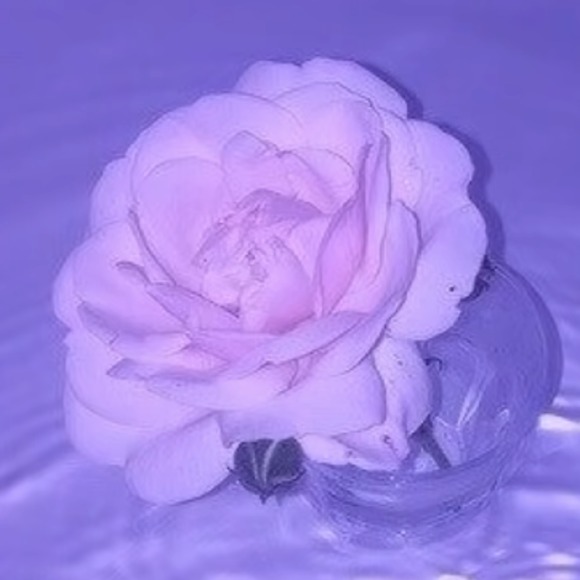 glowbunny_